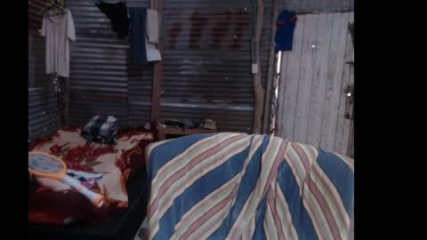 snakeguy08 online show from 24, 4, 2026