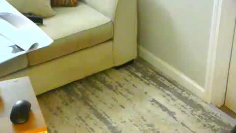 snizniz online show from 21, 1, 2025