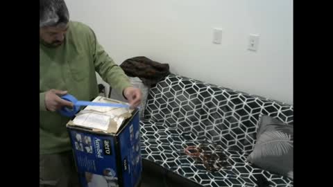 snizniz online show from 11, 2, 2025