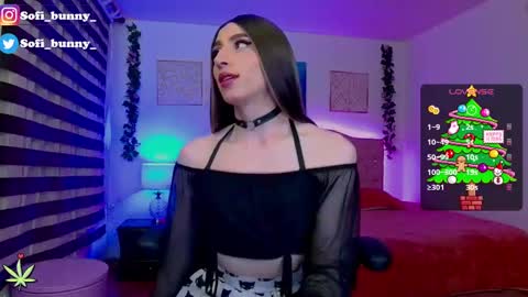 soffi_bunny_ online show from 22, 12, 2024