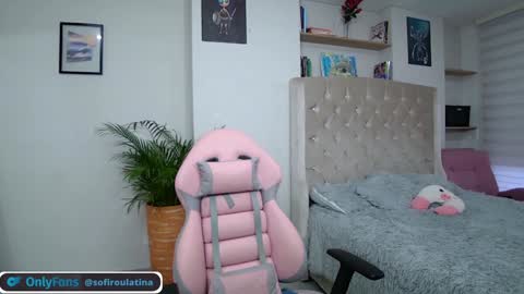 Snapshot of soffi_rousel_ chatting on 2, 12, 2024 soffi_rousel_ online show from 2, 12, 2024