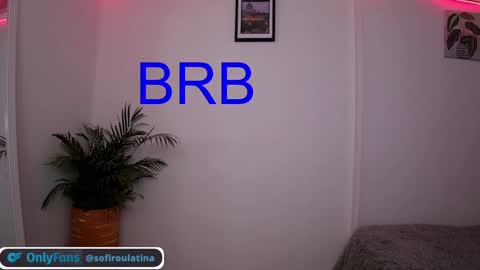 Snapshot of soffi_rousel_ chatting on 29, 12, 2024 soffi_rousel_ online show from 29, 12, 2024