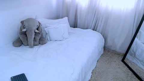 sofia Ill be back on Tuesday June 4.  online show from 13, 2, 2025