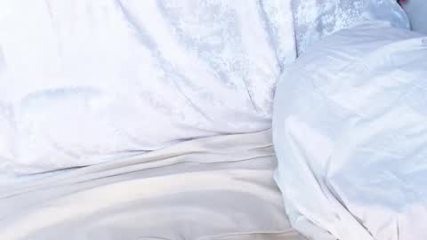 Sofia here online show from 9, 1, 2025