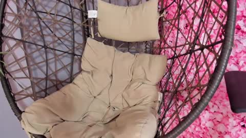 SOFIA online show from 8, 1, 2025