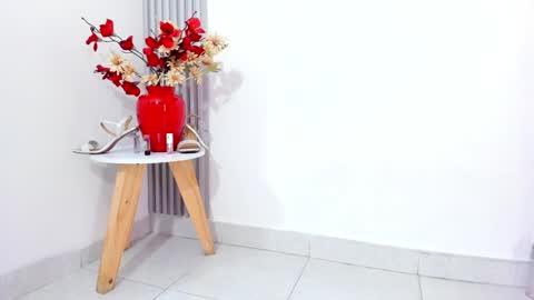 SOFIA online show from 4, 2, 2025