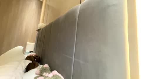 sofiaalvarezx online show from 11, 7, 2026