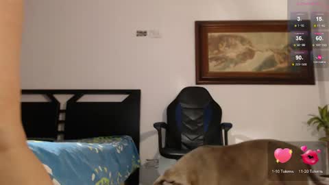 Snapshot of sofialove568 chatting on 23, 6, 2026 sofi online show from 23, 6, 2026