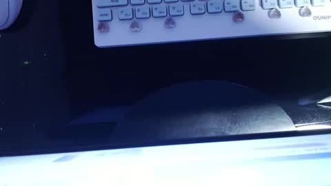 SOFIA NIX online show from 13, 1, 2025