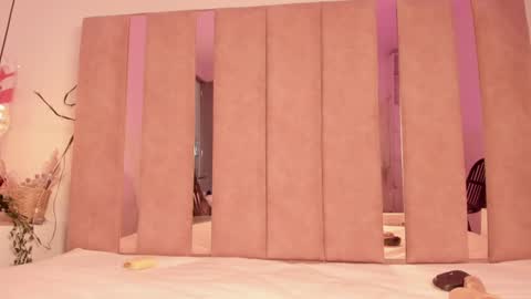 Snapshot of sofiesoft chatting on 13, 1, 2025 Sofie online show from 13, 1, 2025