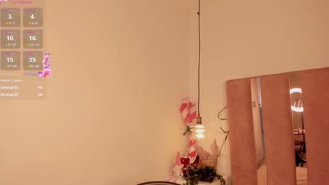 Snapshot of sofiesoft chatting on 17, 1, 2025 Sofie online show from 17, 1, 2025