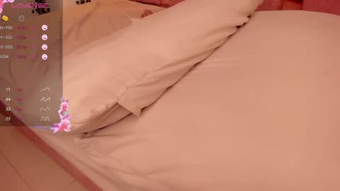 Snapshot of sofiesoft chatting on 23, 1, 2025 Sofie online show from 23, 1, 2025