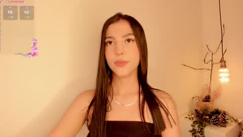 Snapshot of sofiesoft chatting on 26, 1, 2025 Sofie online show from 26, 1, 2025