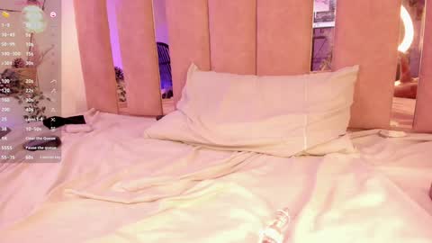 Snapshot of sofiesoft chatting on 30, 1, 2025 Sofie online show from 30, 1, 2025