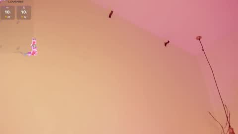 Snapshot of sofiesoft chatting on 15, 2, 2025 Sofie online show from 15, 2, 2025