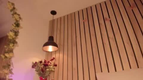 Snapshot of sofiesoft chatting on 11, 10, 2025 Sofie online show from 11, 10, 2025