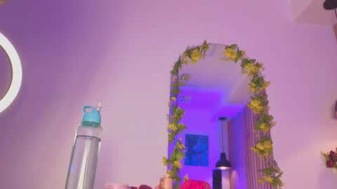 Snapshot of sofiesoft chatting on 30, 10, 2025 Sofie online show from 30, 10, 2025