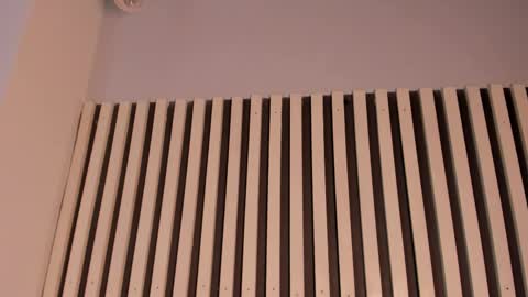 Snapshot of sofiesoft chatting on 11, 11, 2025 Sofie online show from 11, 11, 2025