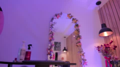 Snapshot of sofiesoft chatting on 13, 11, 2025 Sofie online show from 13, 11, 2025