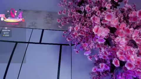 sofii_jones online show from 14, 6, 2026