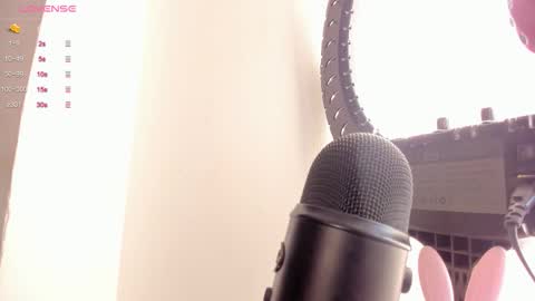 Snapshot of sofiia_pink chatting on 4, 3, 2026 online show from 4, 3, 2026