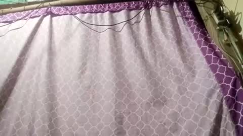 Snapshot of soft_bads chatting on 11, 9, 2025 soft_bads online show from 11, 9, 2025