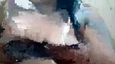 Snapshot of soft_bads chatting on 9, 10, 2025 soft_bads online show from 9, 10, 2025