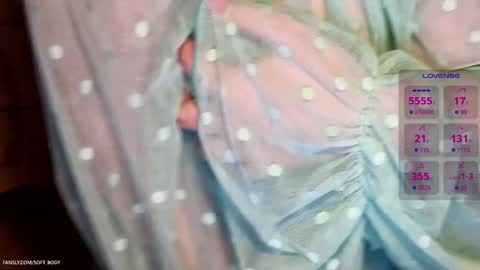 Snapshot of soft_body chatting on 7, 2, 2025 Hi Im Sofia online show from 7, 2, 2025