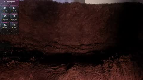 Sofy online show from 20, 2, 2026