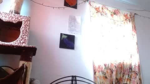 Snapshot of soka_lovers_04_ chatting on 6, 1, 2026 Sofia online show from 6, 1, 2026