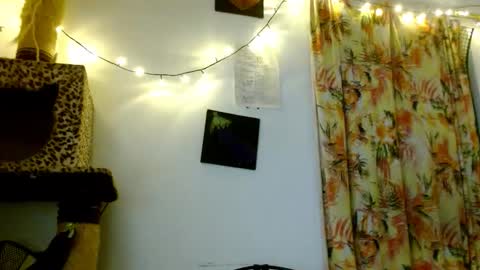 Snapshot of soka_lovers_04_ chatting on 19, 2, 2026 Sofia online show from 19, 2, 2026