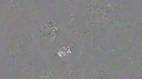 solilay online show from 29, 3, 2026