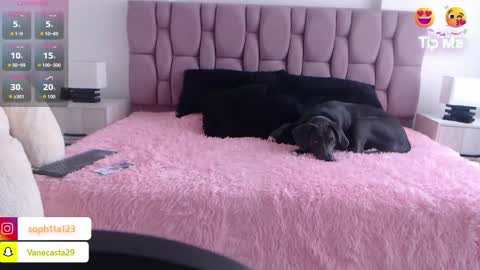 Sophia Carson online show from 1, 1, 2025