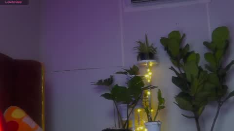 Sophia online show from 22, 4, 2026