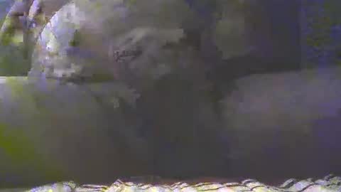 Golan online show from 4, 3, 2025