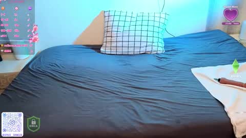 Snapshot of space_danger chatting on 8, 10, 2025 space danger online show from 8, 10, 2025