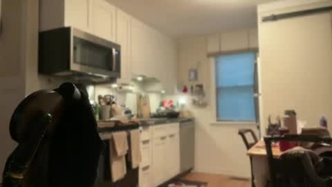 Spacecow Whore online show from 28, 7, 2026
