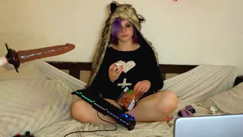 Snapshot of sparkyferret chatting on 10, 7, 2026 sparkyferret online show from 10, 7, 2026