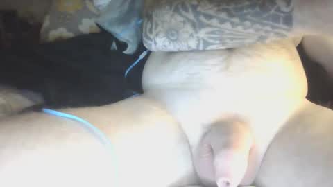 species online show from 29, 1, 2025