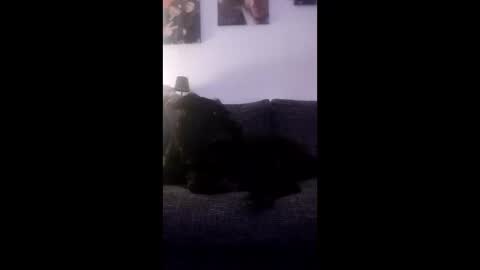 spermaking854897 online show from 14, 3, 2026