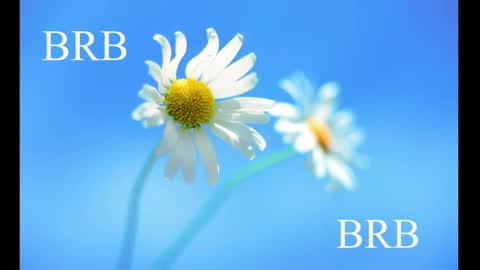 Karina online show from 28, 2, 2025