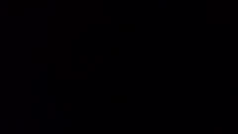 Squally Willy  MaryAnne online show from 30, 1, 2025