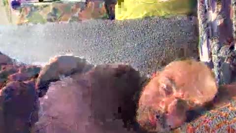 Snapshot of srekos38 chatting on 10, 10, 2025 srekos38 online show from 10, 10, 2025