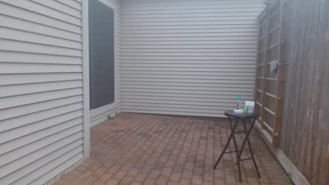 Snapshot of srtxshow chatting on 3, 3, 2025 srtxshow online show from 3, 3, 2025