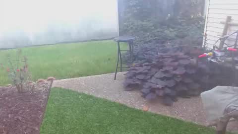 Snapshot of srtxshow chatting on 16, 10, 2025 srtxshow online show from 16, 10, 2025