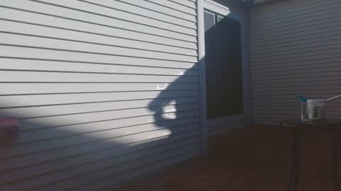 Snapshot of srtxshow chatting on 9, 2, 2026 srtxshow online show from 9, 2, 2026