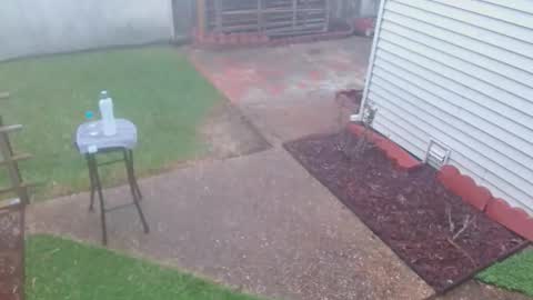 Snapshot of srtxshow chatting on 8, 3, 2026 srtxshow online show from 8, 3, 2026