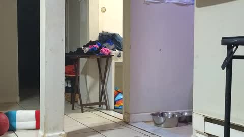 Submissive Slut LOVES adoration online show from 29, 1, 2025