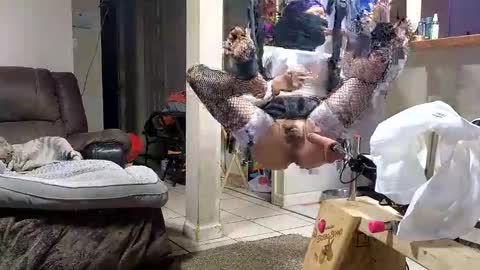 Submissive Slut LOVES adoration online show from 12, 11, 2025