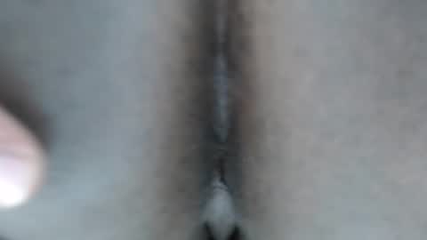 calvin online show from 10, 1, 2026